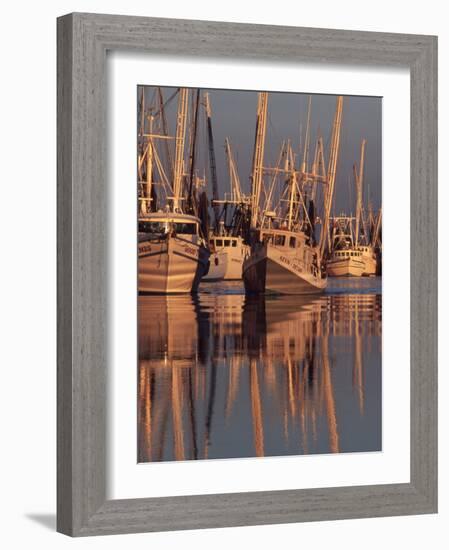 Shrimp Boats Tied to Dock, Darien, Georgia, USA-Joanne Wells-Framed Photographic Print