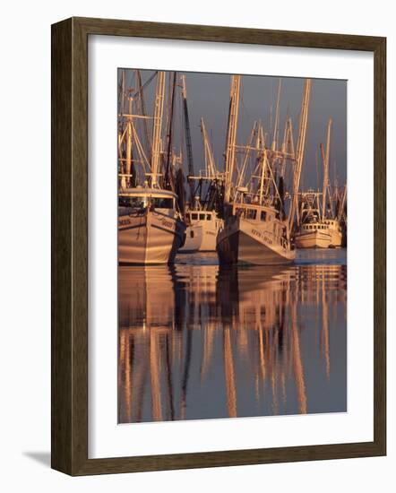 Shrimp Boats Tied to Dock, Darien, Georgia, USA-Joanne Wells-Framed Photographic Print