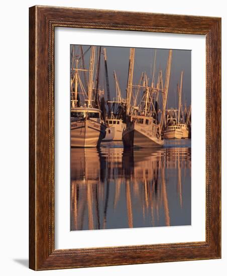 Shrimp Boats Tied to Dock, Darien, Georgia, USA-Joanne Wells-Framed Photographic Print