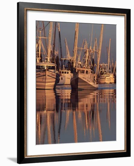 Shrimp Boats Tied to Dock, Darien, Georgia, USA-Joanne Wells-Framed Photographic Print