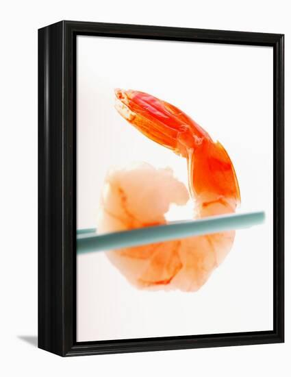 Shrimp on Chopsticks-null-Framed Premier Image Canvas
