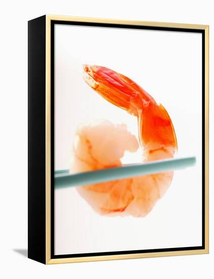 Shrimp on Chopsticks-null-Framed Premier Image Canvas