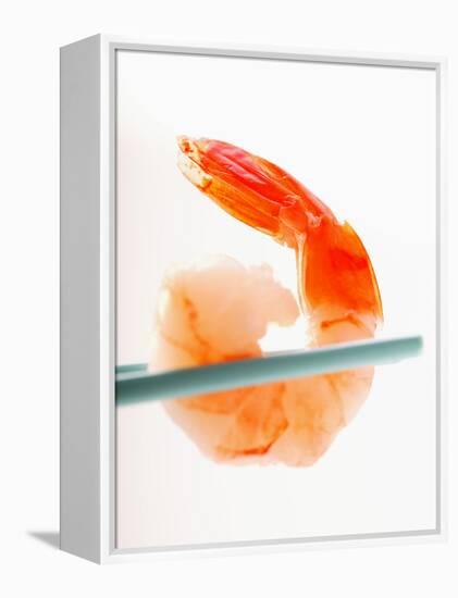 Shrimp on Chopsticks-null-Framed Premier Image Canvas