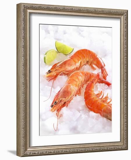 Shrimp on Ice-Jürgen Holz-Framed Photographic Print