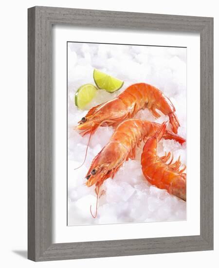 Shrimp on Ice-Jürgen Holz-Framed Photographic Print