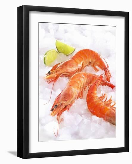 Shrimp on Ice-Jürgen Holz-Framed Photographic Print