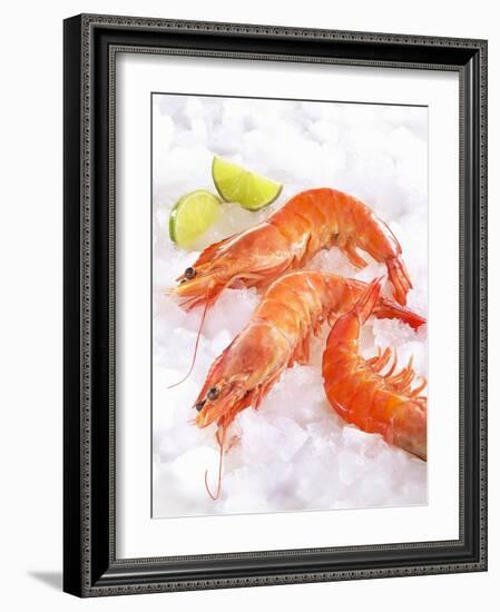 Shrimp on Ice-Jürgen Holz-Framed Photographic Print