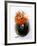 Shrimps with Black Pasta-Marc O^ Finley-Framed Photographic Print