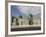 Shrine of Hazrat Ali, Who was Assassinated in 661, Mazar-I-Sharif, Afghanistan-Jane Sweeney-Framed Photographic Print