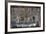 Shrine, Santuario De Chimayo, Lourdes of America-Wendy Connett-Framed Photographic Print