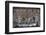 Shrine, Santuario De Chimayo, Lourdes of America-Wendy Connett-Framed Photographic Print