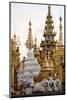 Shrines and Pagodas at Shwedagon Pagoda, Yangon-Annie Owen-Mounted Photographic Print