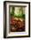 Shroom, Mushroom In The Wild, Redwood National Park-Vincent James-Framed Photographic Print