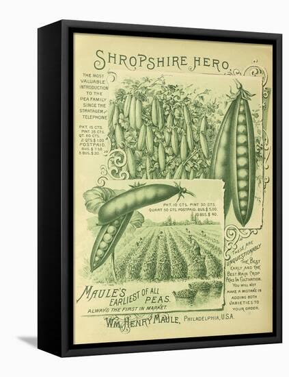 Shropshire Peas-Vintage Apple Collection-Framed Premier Image Canvas