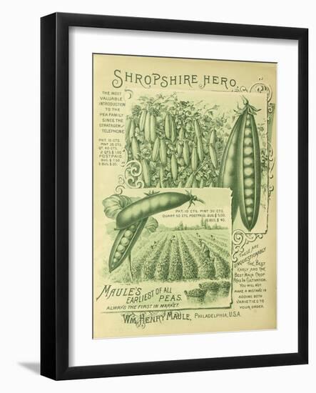 Shropshire Peas-Vintage Apple Collection-Framed Giclee Print