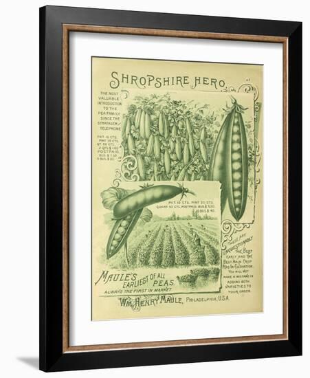 Shropshire Peas-Vintage Apple Collection-Framed Giclee Print