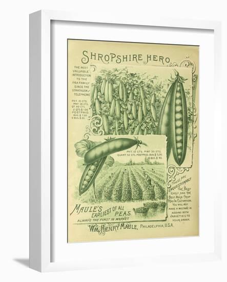 Shropshire Peas-Vintage Apple Collection-Framed Giclee Print