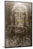 Shroud of Turin, Jesus Christ, France-Godong-Mounted Photographic Print