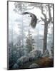 Shrouded Forest-Daniel Smith-Mounted Art Print