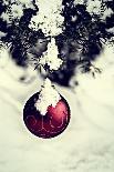 Christmas Ball Hanging on A Spruce Tree - Retro-SHS Photography-Framed Photographic Print