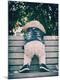 Premium Photographic Print