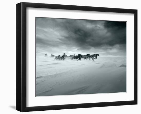 Photographic Print, , large