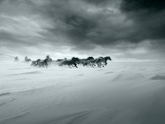 Photographic Print, , large