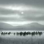 A Winter Night-Shu-Guang Yang-Framed Photographic Print