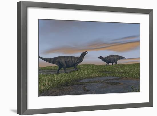 Shuangmiaosaurus Dinosaurs Walking Through Wetlands-Stocktrek Images-Framed Art Print