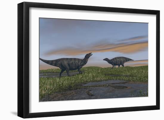 Shuangmiaosaurus Dinosaurs Walking Through Wetlands-Stocktrek Images-Framed Art Print