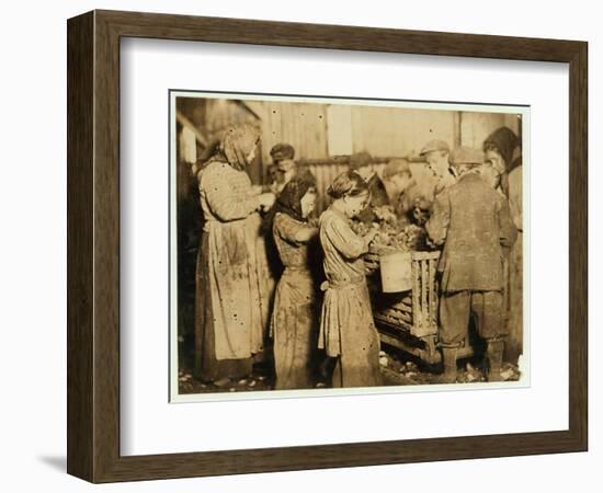 Shuckers Aged About 10 Opening Oysters in the Varn and Platt Canning Company-Lewis Wickes Hine-Framed Photographic Print