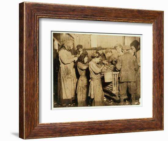 Shuckers Aged About 10 Opening Oysters in the Varn and Platt Canning Company-Lewis Wickes Hine-Framed Photographic Print