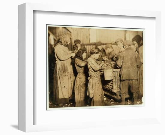 Shuckers Aged About 10 Opening Oysters in the Varn and Platt Canning Company-Lewis Wickes Hine-Framed Photographic Print