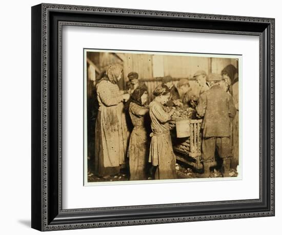 Shuckers Aged About 10 Opening Oysters in the Varn and Platt Canning Company-Lewis Wickes Hine-Framed Photographic Print