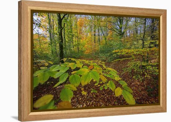 Shudder-Viviane Fedieu Daniel-Framed Premier Image Canvas