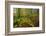 Shudder-Viviane Fedieu Daniel-Framed Photographic Print