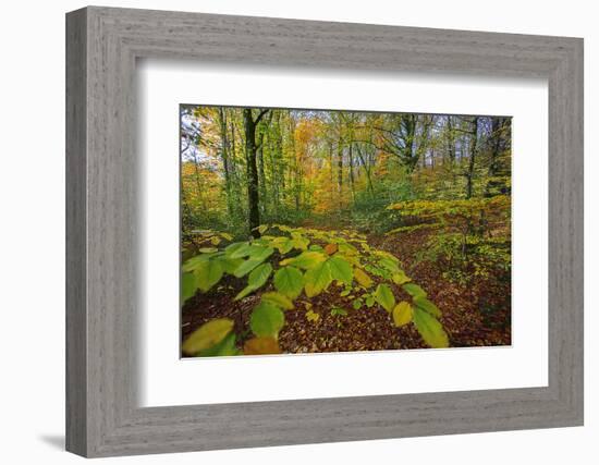 Shudder-Viviane Fedieu Daniel-Framed Photographic Print