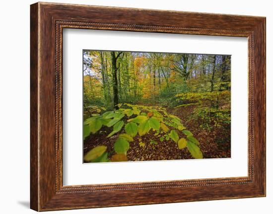 Shudder-Viviane Fedieu Daniel-Framed Photographic Print