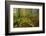 Shudder-Viviane Fedieu Daniel-Framed Photographic Print