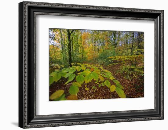 Shudder-Viviane Fedieu Daniel-Framed Photographic Print