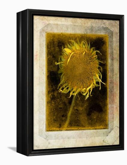 Shuffleopia-Craig Satterlee-Framed Premier Image Canvas