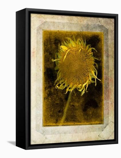 Shuffleopia-Craig Satterlee-Framed Premier Image Canvas