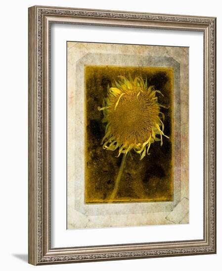 Shuffleopia-Craig Satterlee-Framed Photographic Print