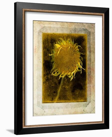 Shuffleopia-Craig Satterlee-Framed Photographic Print