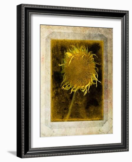 Shuffleopia-Craig Satterlee-Framed Photographic Print