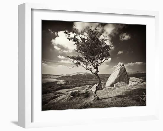 Shuffletags-David Baker-Framed Photographic Print