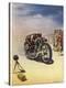 Stretched Canvas Print