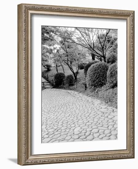 Shukkei-En Garden Detail, Japan-Walter Bibikow-Framed Photographic Print