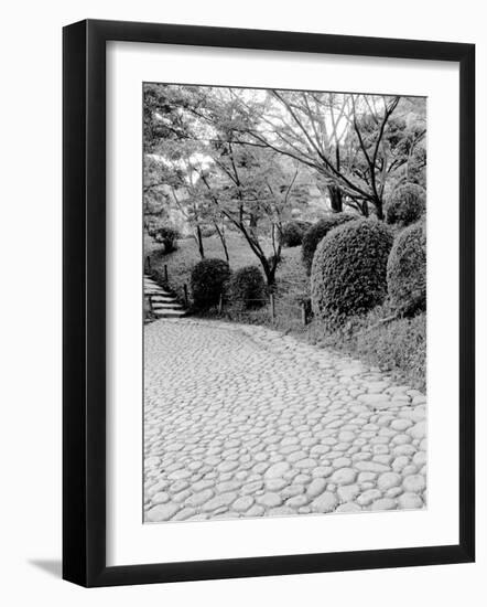 Shukkei-En Garden Detail, Japan-Walter Bibikow-Framed Photographic Print