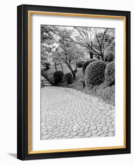 Shukkei-En Garden Detail, Japan-Walter Bibikow-Framed Photographic Print